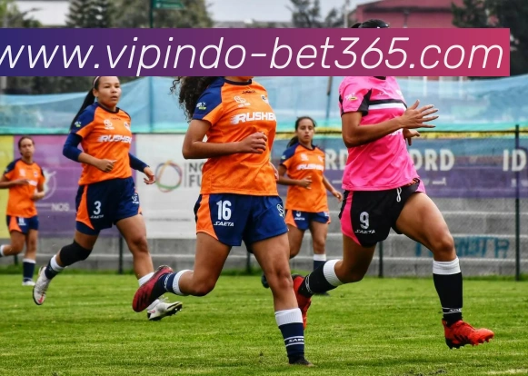 bet365平台生态图